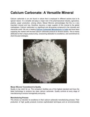  Calcium Carbonate: A Versatile Mineral Powerhouse for Coatings and Plastics Production?