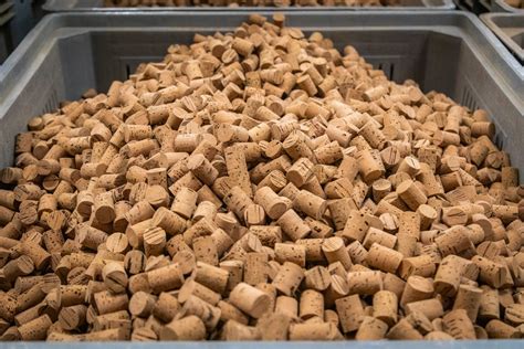 Cork - A Sustainable Powerhouse for Construction and Packaging Solutions!