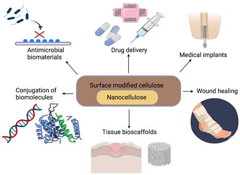 Elastin-Based Biomaterials: A Marvelous Material for Regenerative Medicine!