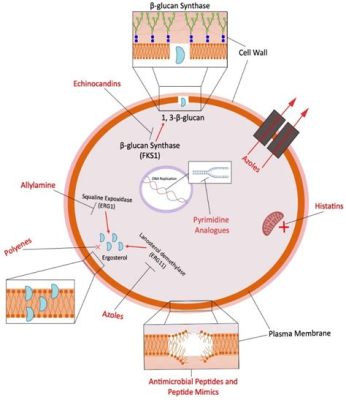  Ketoconazole! Its Unexpected Journey From Anti-Fungal Agent to Textile Wonder Material