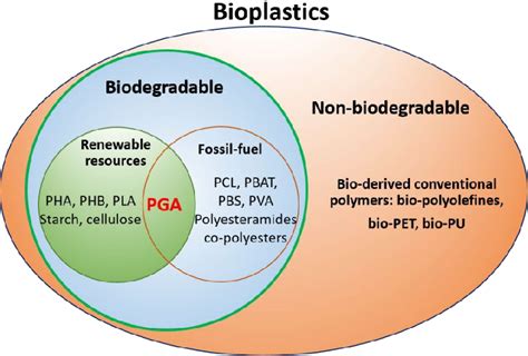 Lactic Acid: A Versatile Building Block for Bioplastics and Sustainable Food Preservation!