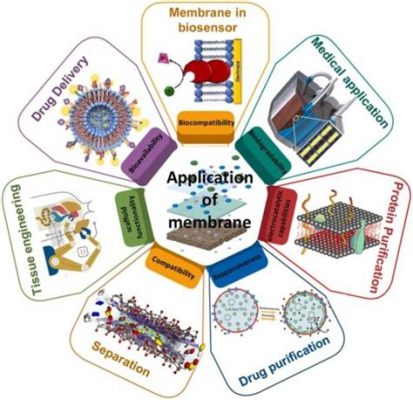  Osmocoupling Polymers! Exploring Their Potential for Separation and Purification Applications