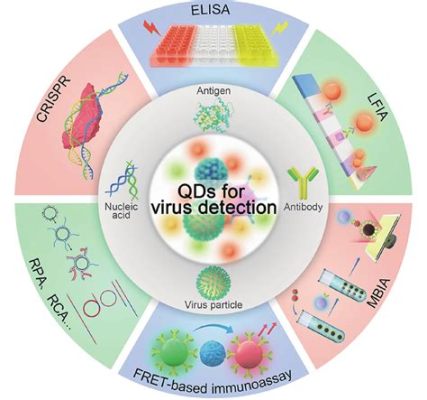 Quantum Dots: Tiny Semiconductors with Giant Potential for Next-Generation Displays and Bioimaging Applications!