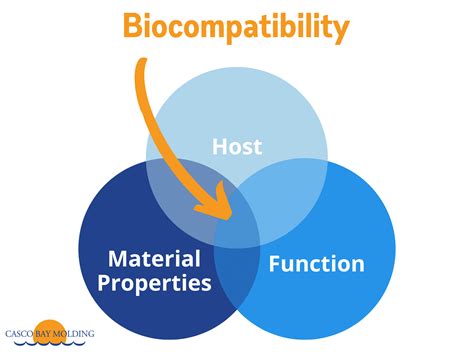 Urethane Biocompatibility and Versatility for Diverse Medical Applications!