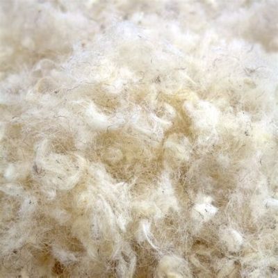 What Is Wool And How Does Its Exceptional Softness Shape Modern Textile Innovation?